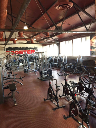 BOOSTER GYM - Visual