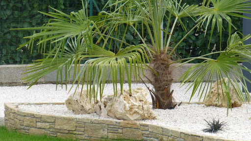 Photo de PAYSAGE AQUADESIGN à Barbechat (44450)