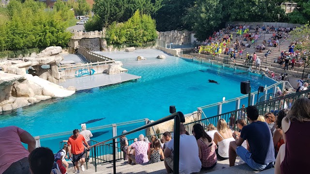 Zoo De Beauval