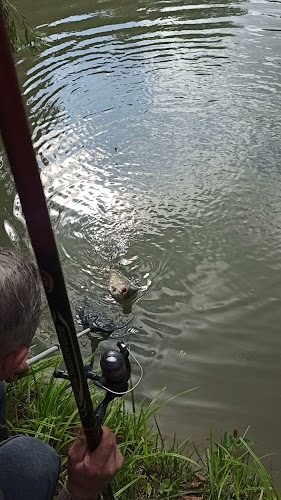 Uroczysko Trzyrzeczki - Dąbrowa Białostocka