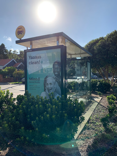 Clovelly Rd at Carrington Rd - Thumbnail