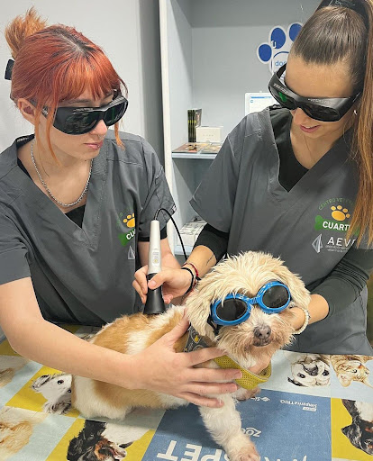 Centro Veterinario Cuarte