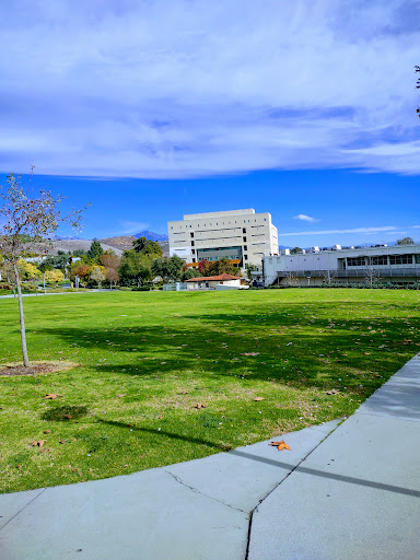 Engineering Meadow - Visual