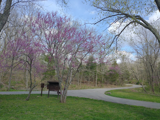 Lane Spring Recreation Area