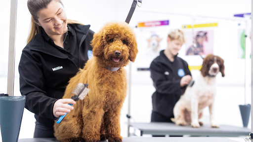 Groomingtails Dog Spa