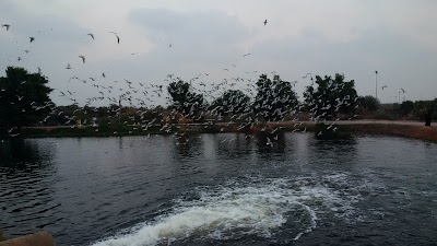 Photos of Khuzam Family Park only for ladies