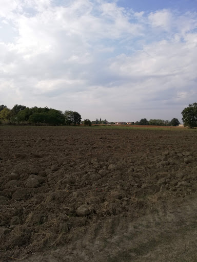 Parco Cavalli - Visual