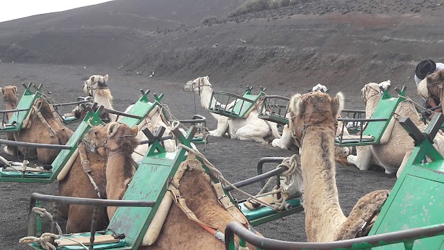 Timanfaya National Park