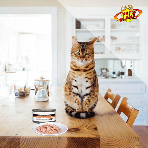 Pet's Planet TkGa - Visual