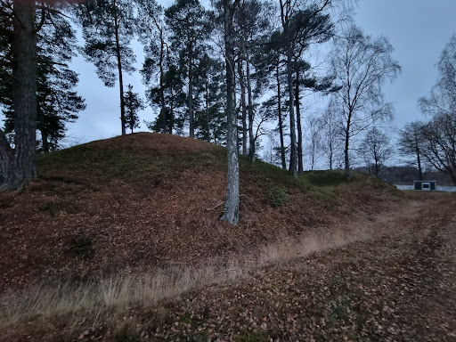 Hönshylte Entrenchment - Thumbnail
