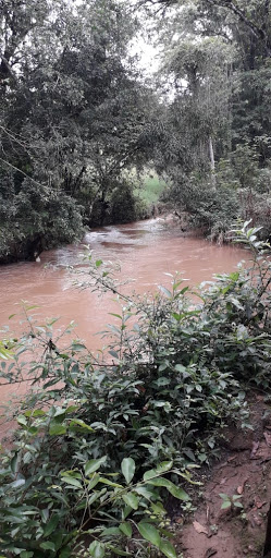 Río El Amate - Thumbnail