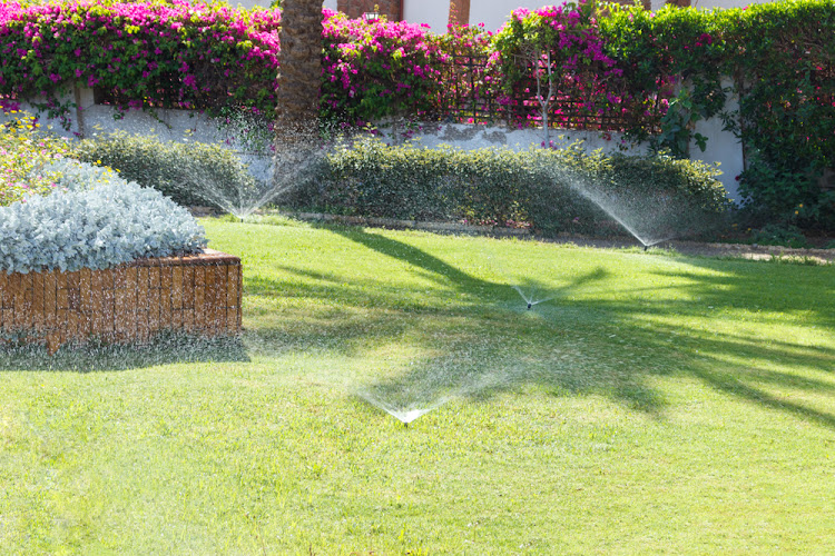 S & S Lawn Maintenance