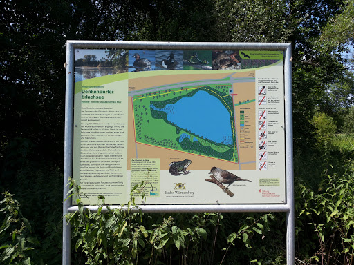 Denkendorfer Erlachsee - Thumbnail