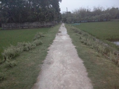 Photos of Islampur Jame Mashjid,feni
