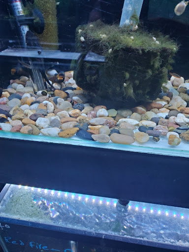 Fin Gallery - Visual