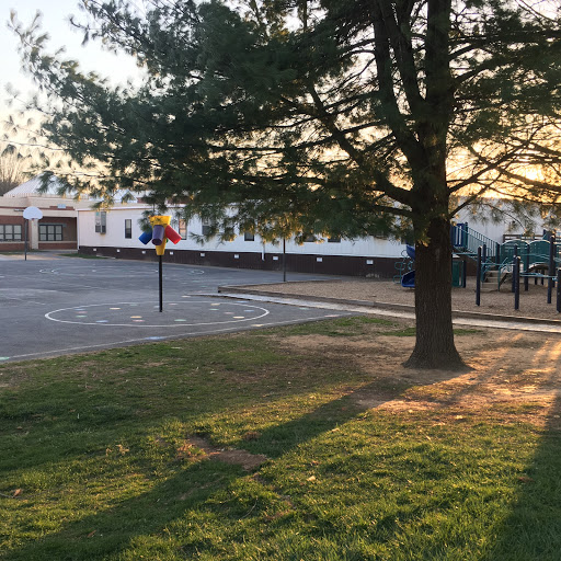 Pointers Run Elementary School - Thumbnail