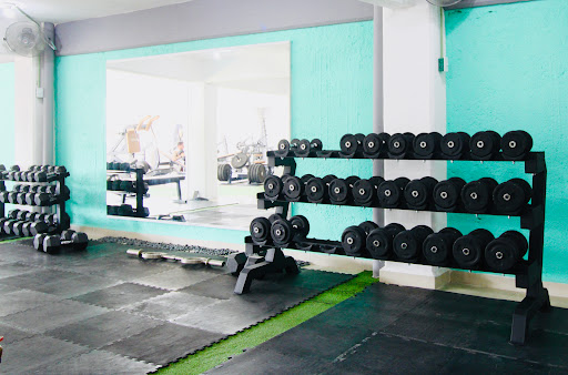Majahua Fitness Industry