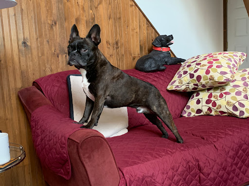 R Veterinary at Columbia Gallery - United States