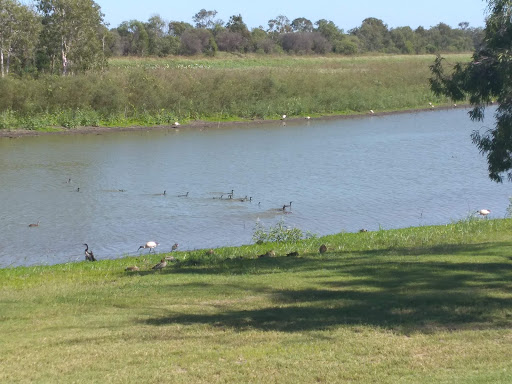 Rockhampton parkrun - Visual