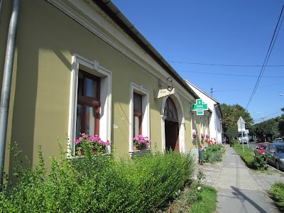Photos of Gy&oacute;gyszert&aacute;r
