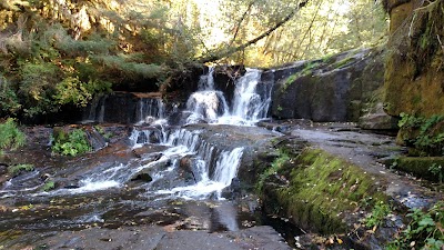 Alsea Falls Recreational Site