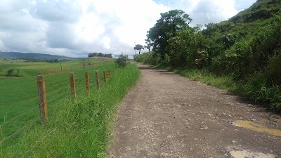 Photos of Balsa