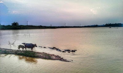 Photos of Toul Baray Andet