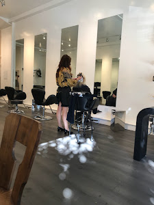 The Lane Salon