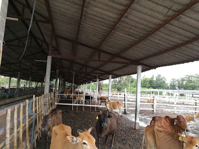 Photos of Phutawen Farm