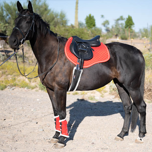 Alpine Tack - Thumbnail