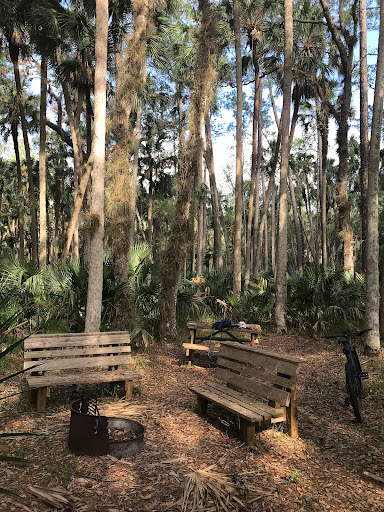 Wekiva Camp - Visual