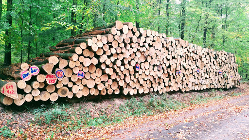 Brennholz Bender / Stammholz-Hessen