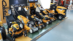 Photo n°28 de Locminé Motoculture à Locminé (Jardin)