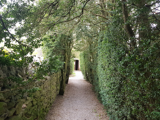 Église de Saint-Martin Du Larzac - Thumbnail