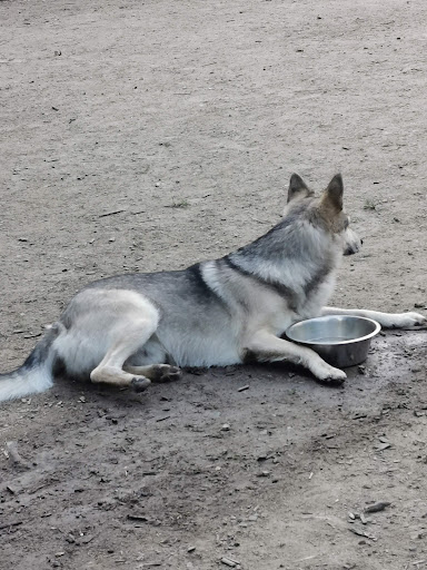 Unser Hundegarten Holzwickede
