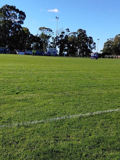 Somerset Soccer Club
