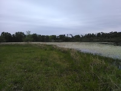 Longville Lake Park