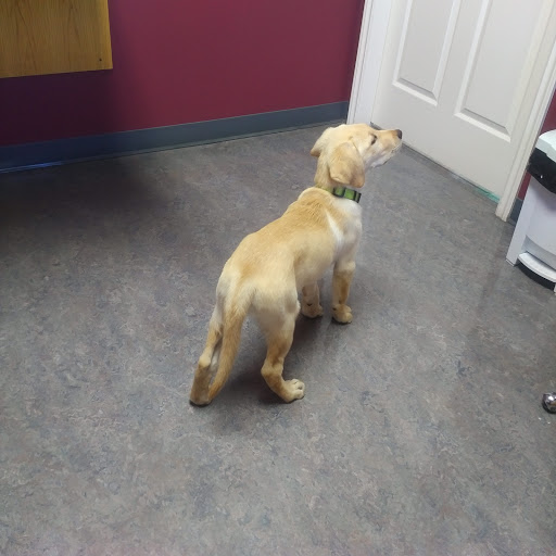 Puntledge Veterinary Clinic Inc Gallery - Canada