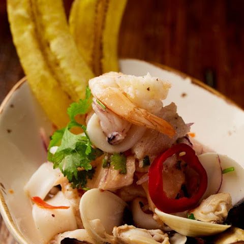 Franco's Latin Table by null