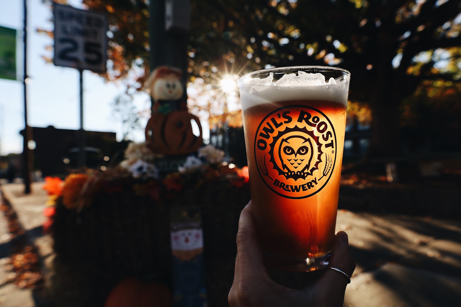 Owl's Roost Brewing — photo 3