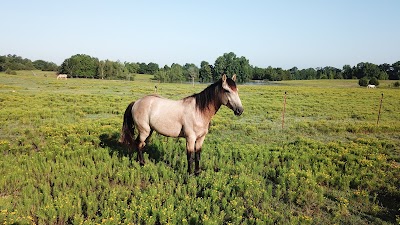 Sunshine Acres Ranch