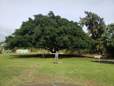 Maui Nui Botanical Gardens