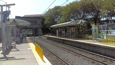 Delmar Loop Station