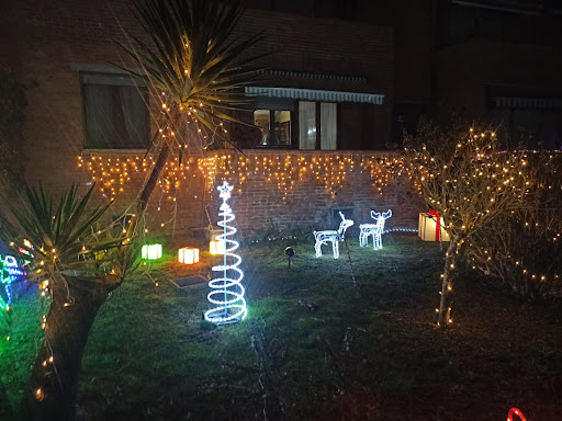 Christmas Garden