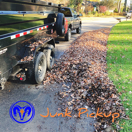 Future Movers - Junk Removal - Thumbnail