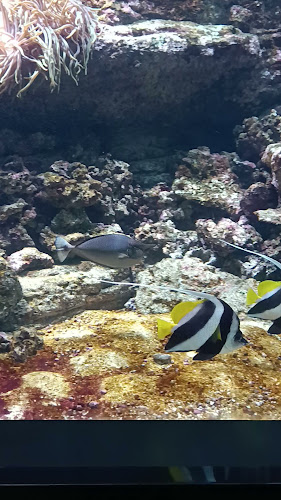 CRETAquarium Θαλασσόκοσμος