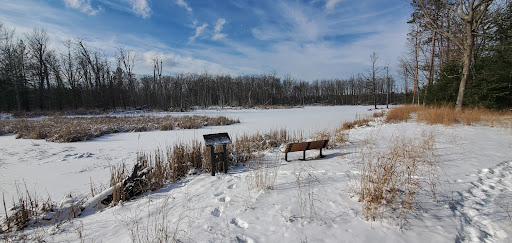 Clark's Marsh Logo