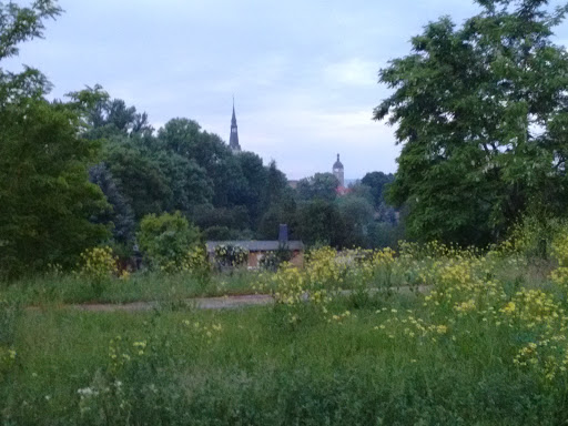 Hundewiese - Thumbnail