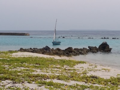 Photos of Bikini Beach