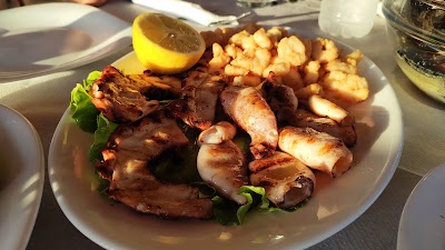 TAVERNA FISH LAND